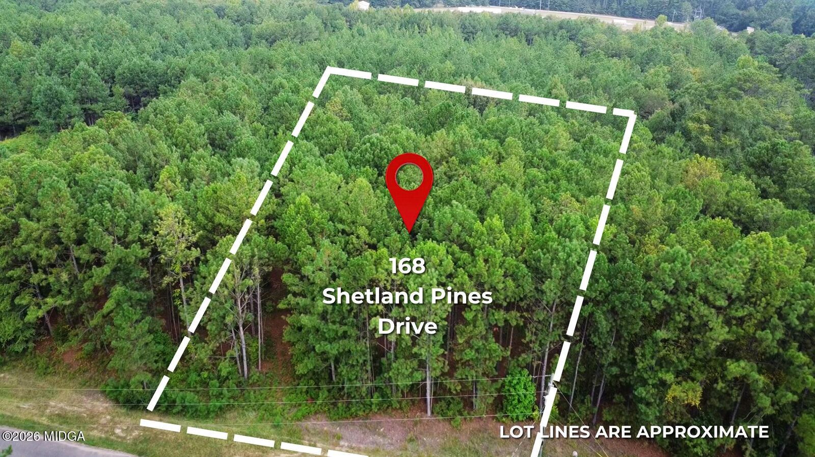 Property Photo: 168 Shetland Pines Drive GA 31216