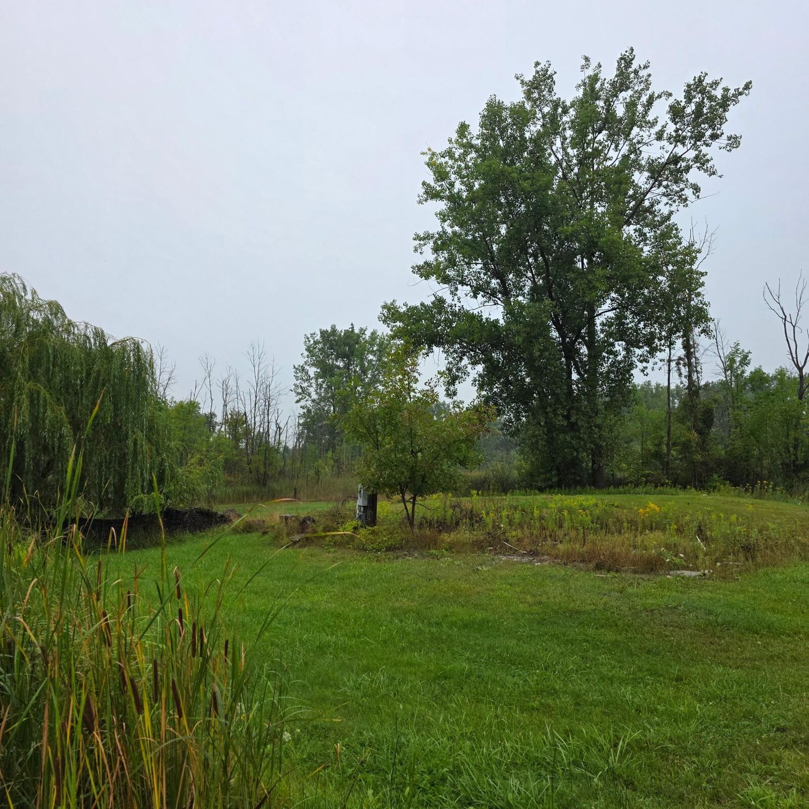 Property Photo: 2963 E Pinconning Rd Road MI 48650