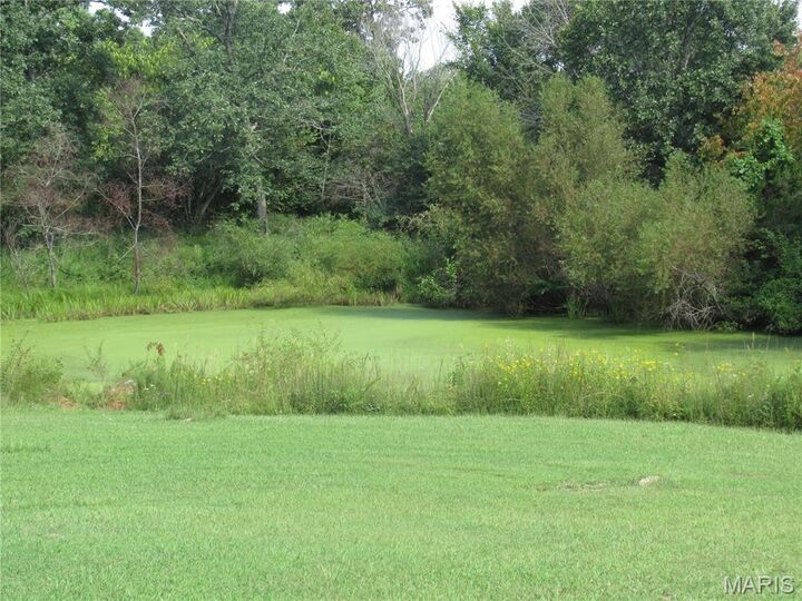 Property Photo: 101 Country View Lane MO 65535