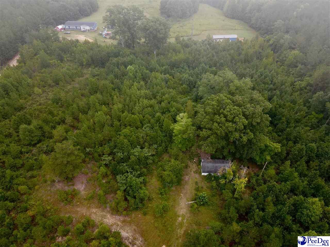 Property Photo: 96 Pine Tree Ln SC 29709