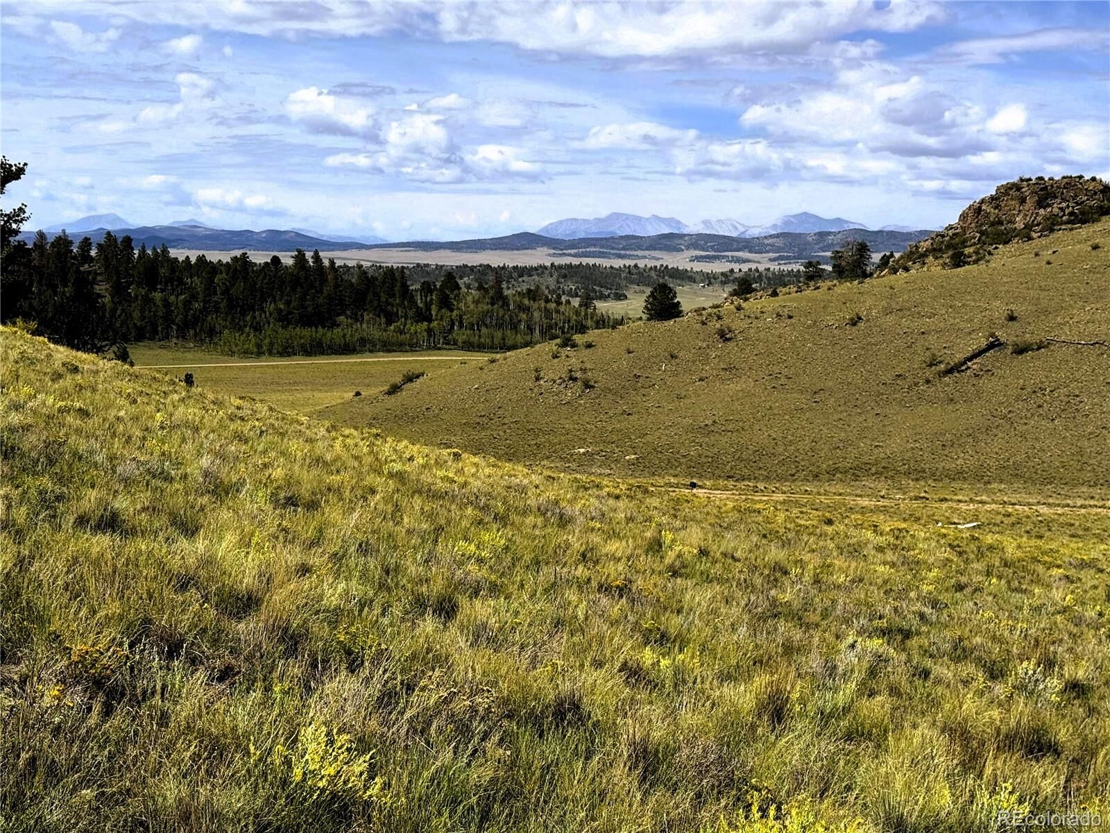 Property Photo: 8390 Chickasaw Road CO 80449