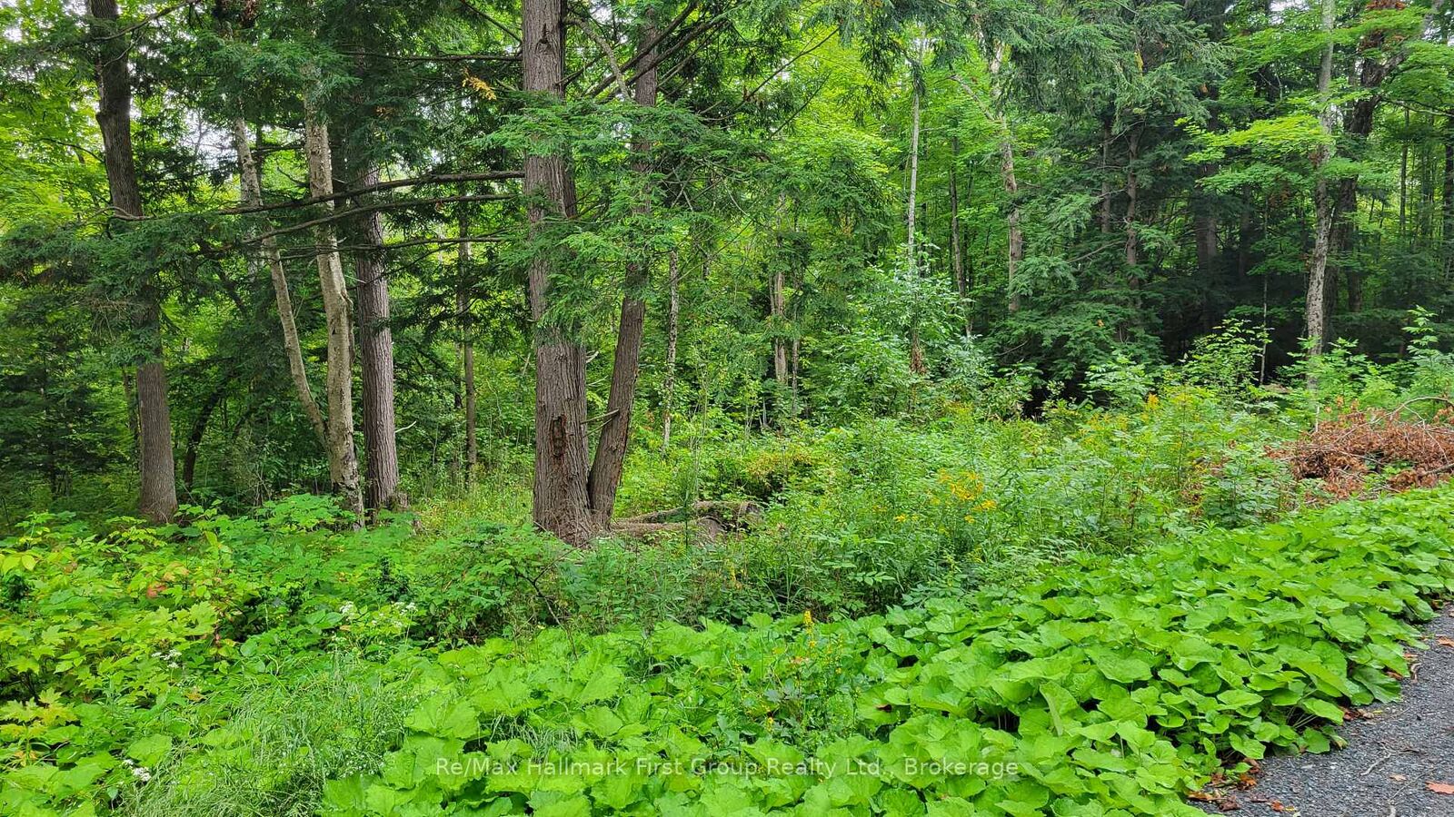 Property Photo:  0 Black River Road N  ON K0K 3J0 