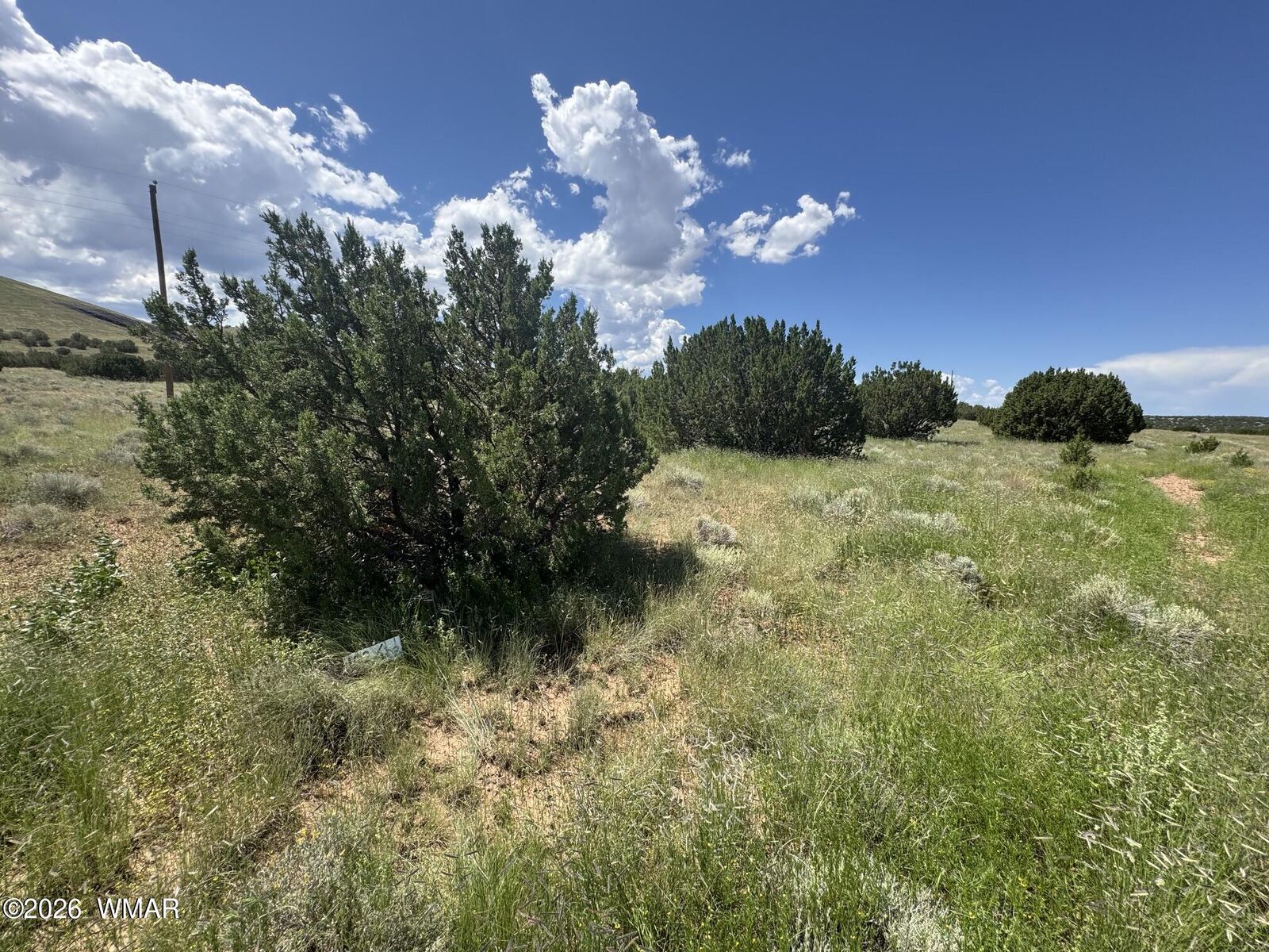 Property Photo:  103 Cr 5202  AZ 85924 