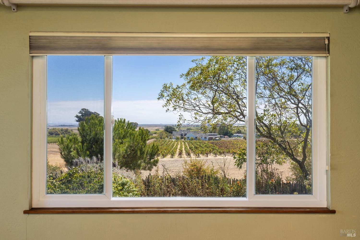Property Photo: 1155 Bayview Avenue CA 94559