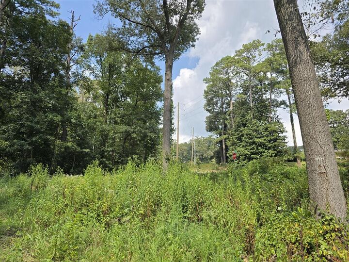 Property Photo: 0 Carbondale Road GA 30721
