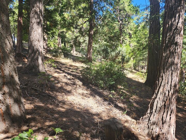 Property Photo:  0 Grass Valley  CA 92352 