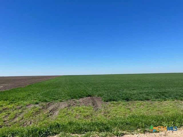 Property Photo: Tract 3 County Rd 355 TX 76519