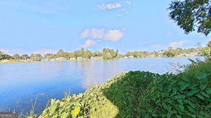 Property Photo: 106 Charity Cove GA 31757