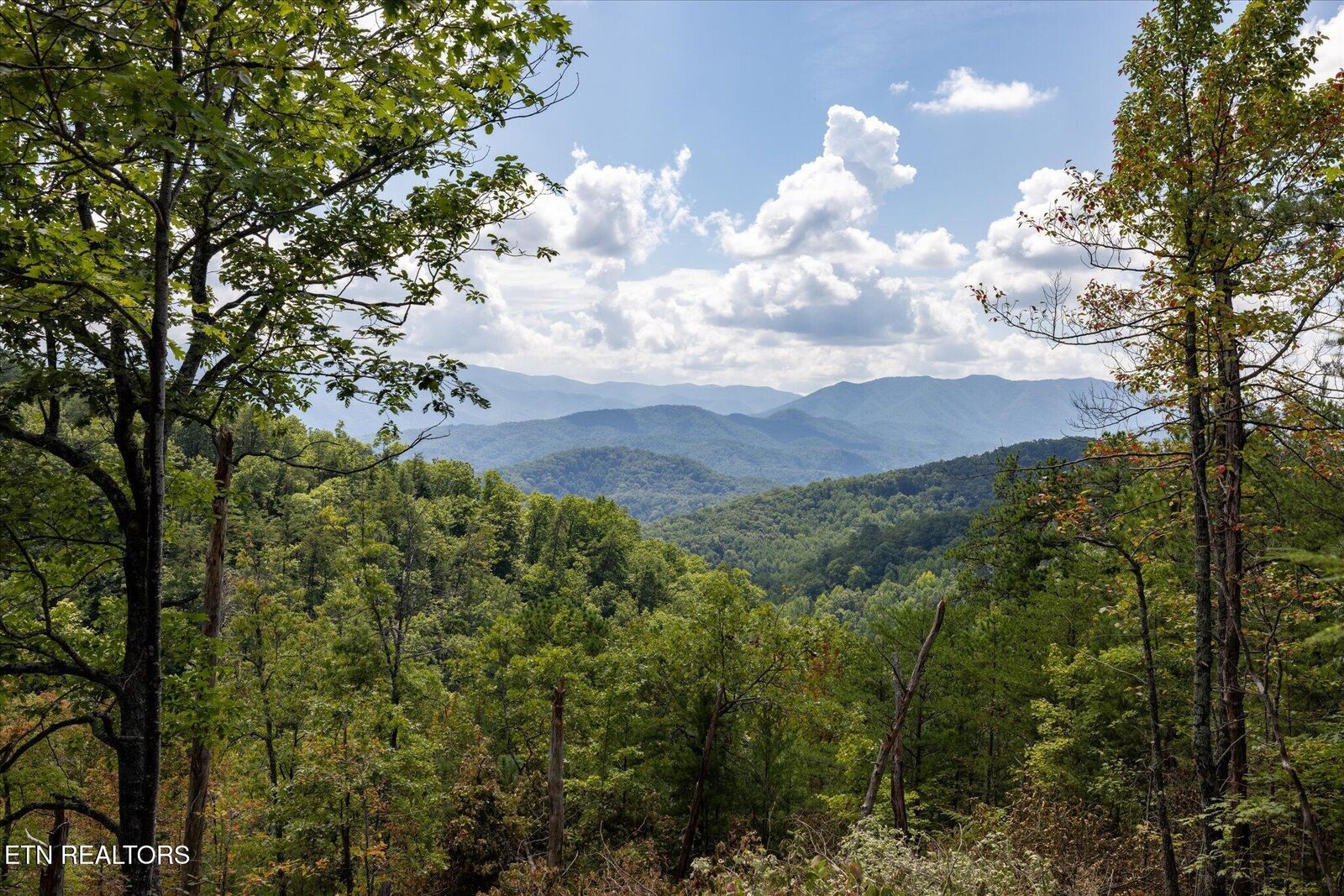 Property Photo:  1080 Hembree Hollow Rd  TN 37882 