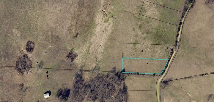 Property Photo:  Lot 9 Conatser Road  KY 42141 