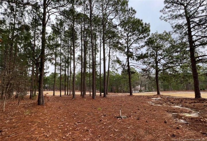 Property Photo:  182 Banbridge Drive  NC 27376 