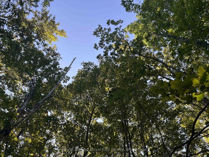 Property Photo:  Pt Lt 9 Con 14 Ebr Pt 27 Concession N/A  ON N0H 1W0 