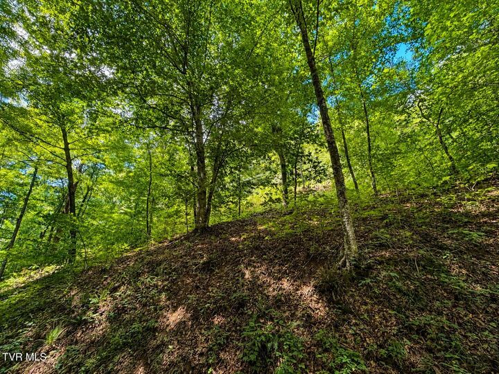 Property Photo:  Tbd Hickman Hollow Road  TN 37873 