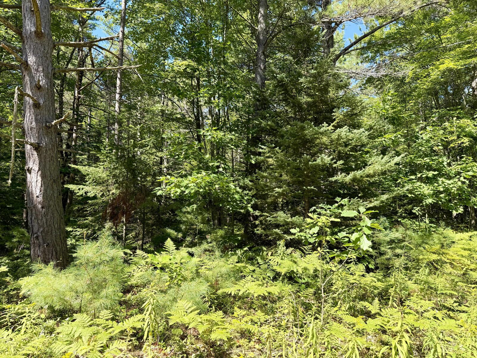 Property Photo:  V/L Yvonne Avenue  MI 49721 