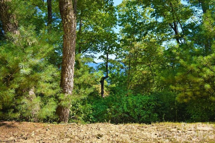 Property Photo:  838 Mills River Way  NC 28742 