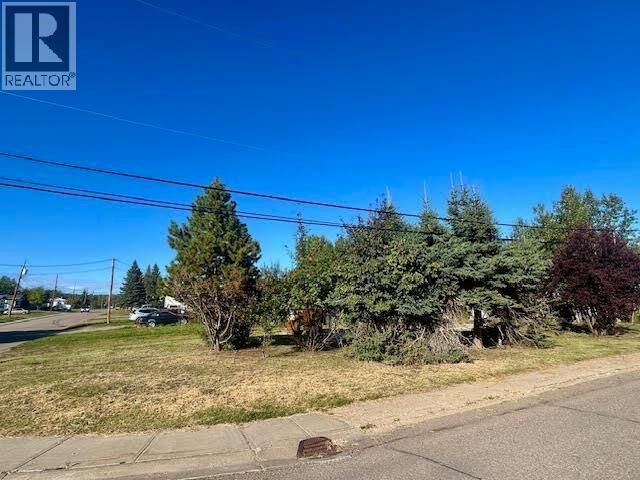 Property Photo:  5204 41 Street  BC V0C 1R0 
