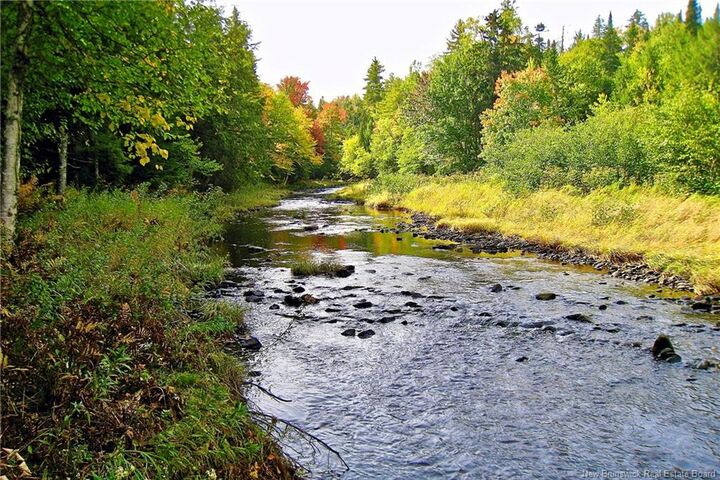 Property Photo:  Lot Rte 520 Coates Mills  NB E4S 1R7 