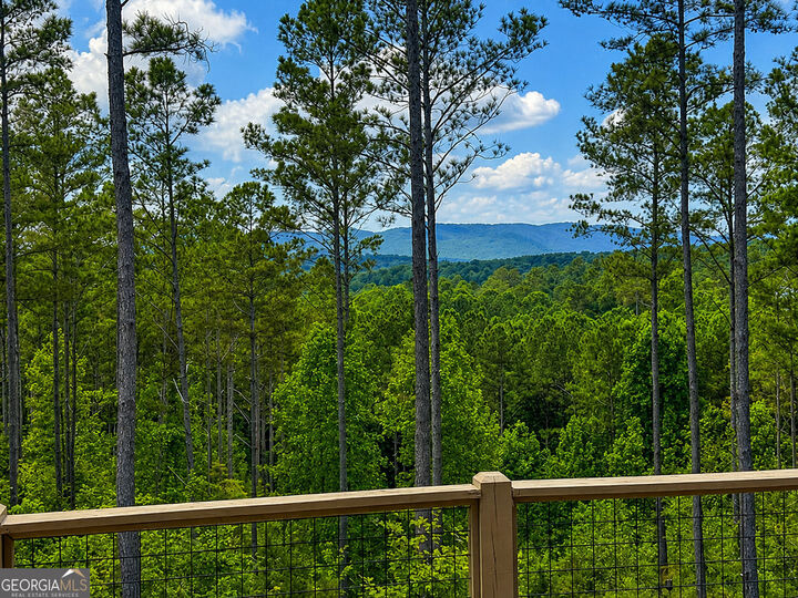 Property Photo:  230 High River Landing  GA 30540 