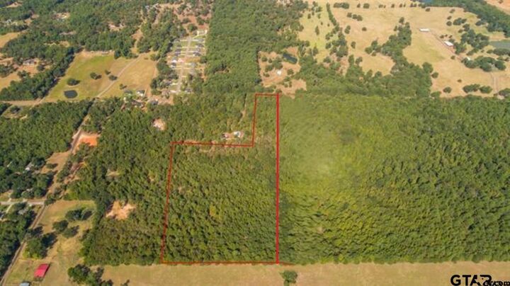 Property Photo:  Tbd Cr 479 (14.99 Ac Tract 4)  TX 75771 