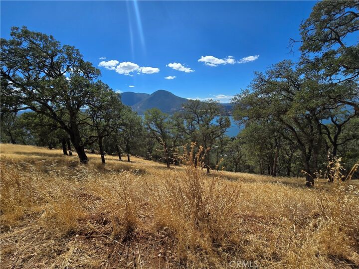 Property Photo:  9500 Glenhaven Drive  CA 95443 