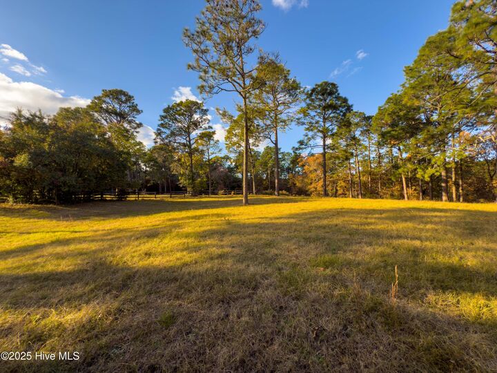 Property Photo:  292 Bump A Long Lane  NC 28387 