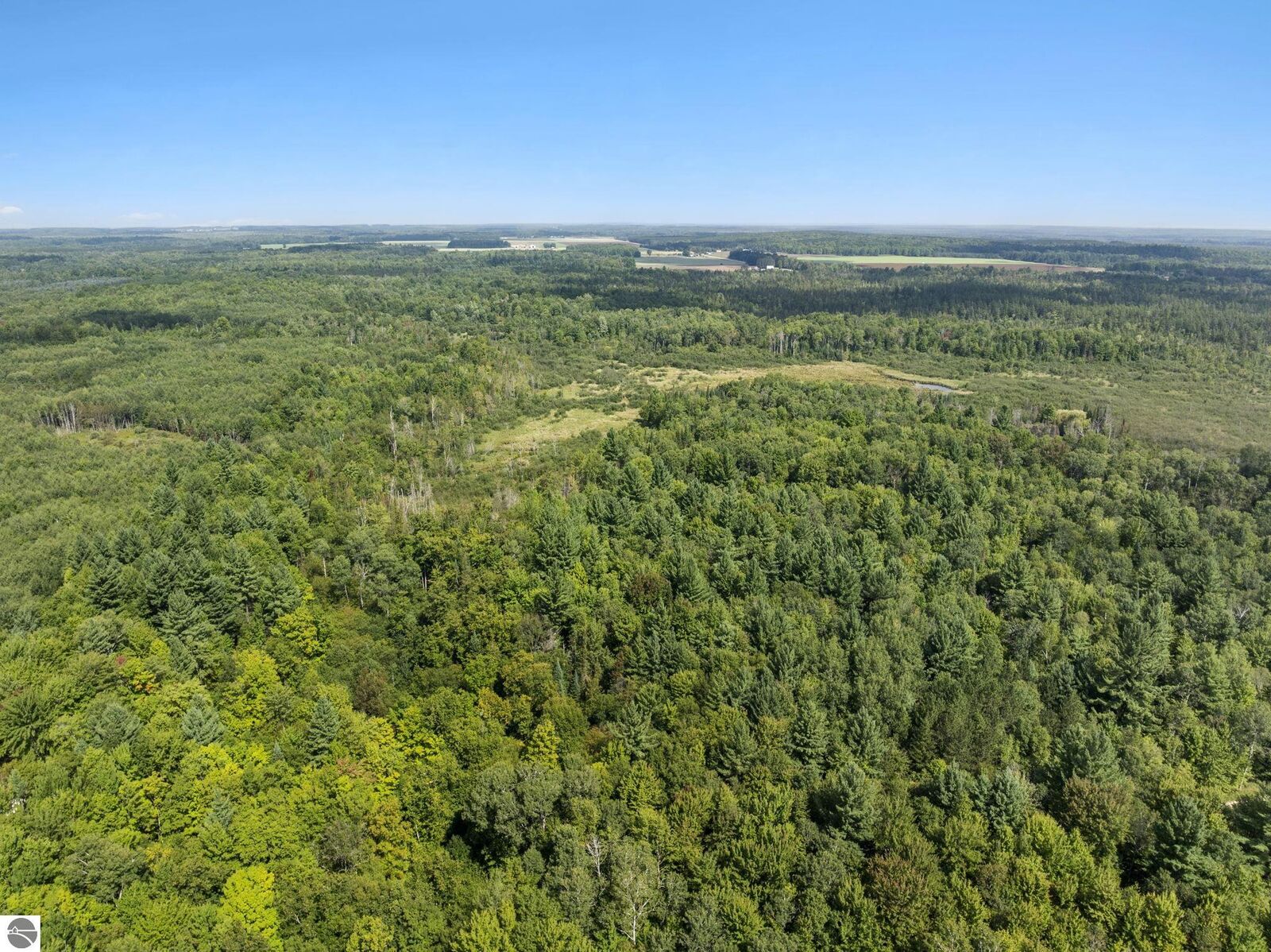 Property Photo: 4517 SE Pierson Creek Road MI 49646