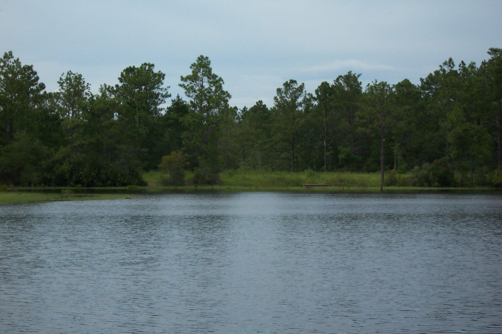 Property Photo:  141 Silk Oak Drive  FL 32433 