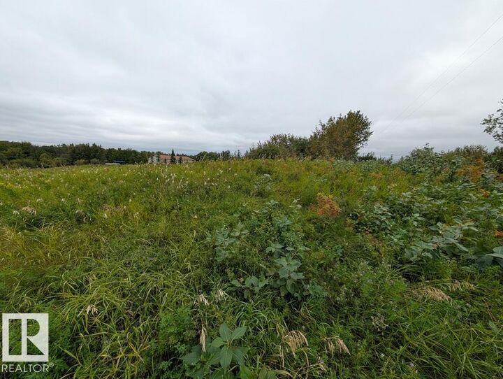 Property Photo:  91 52528 Rge Rd 171  AB T0B 4J5 
