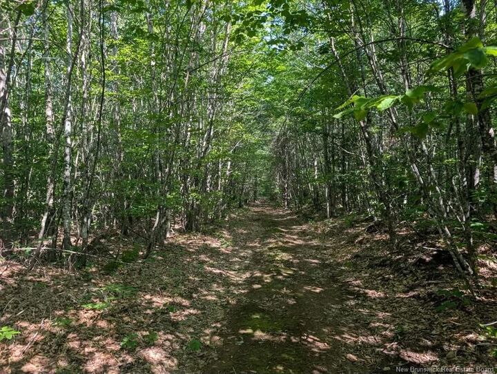 Property Photo:  Recreational Lot 1 Green Road  NB E4Z 1T6 