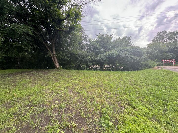 Property Photo:  409 S Orange Street  MN 55387 