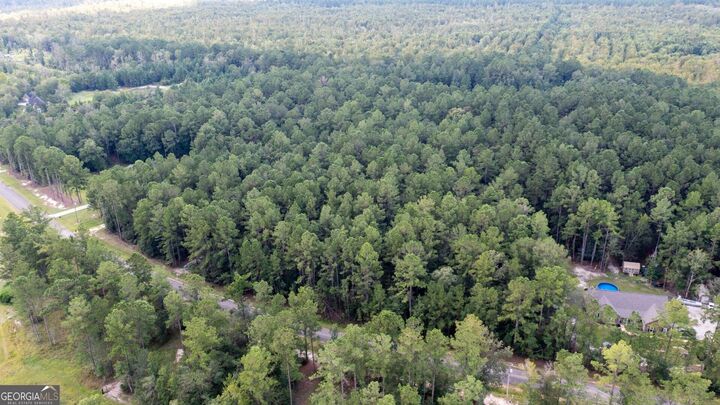 Property Photo:  V/L 16 Forest Trace  GA 31565 