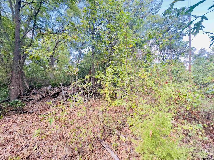 Property Photo: 0000 Apple Tree Rd TX 75644