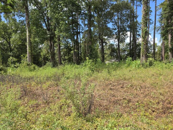 Property Photo: 156 Lakeview Dr TX 77360