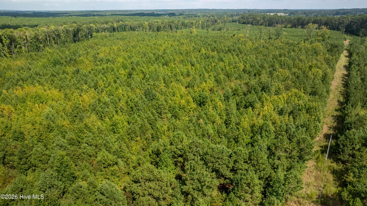 Property Photo: Lot 2 Union Church Road GA 30824