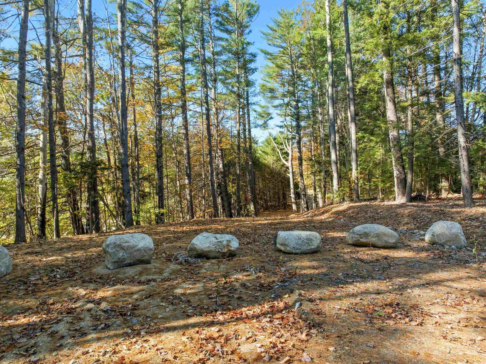 Property Photo:  115 Adams Farm Road  NH 03285 