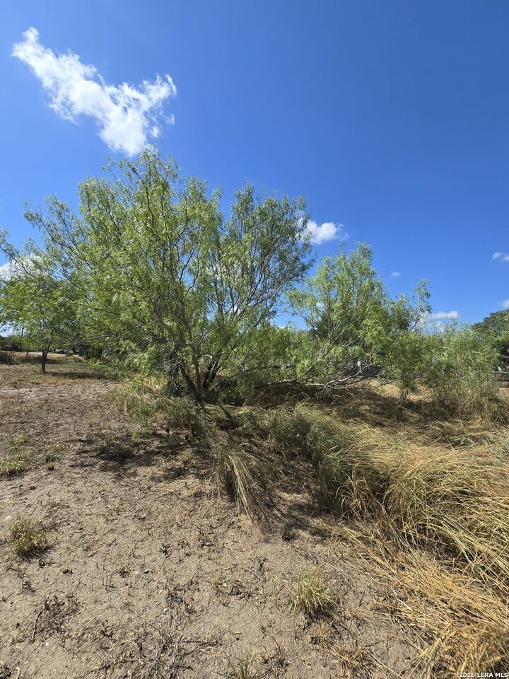 Property Photo:  -- Avenue L  TX 78065 