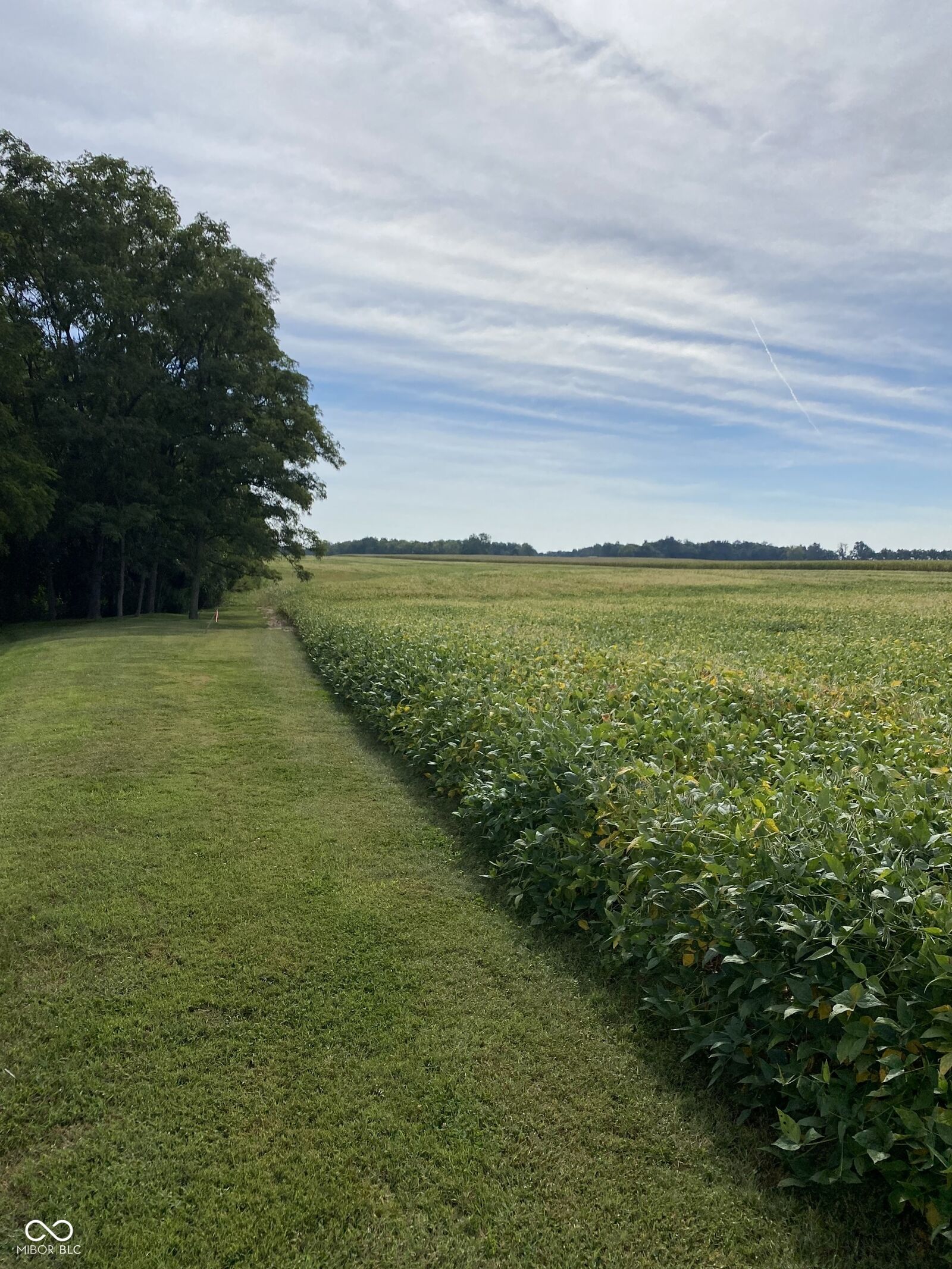 Property Photo:  2815 N US 231 Highway  IN 46135 