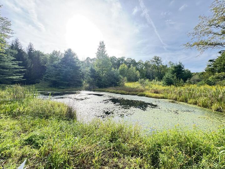 Property Photo: 1172 Lamb Rd PA 18837