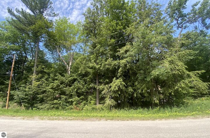 Property Photo: N Knollwood Drive MI 49670