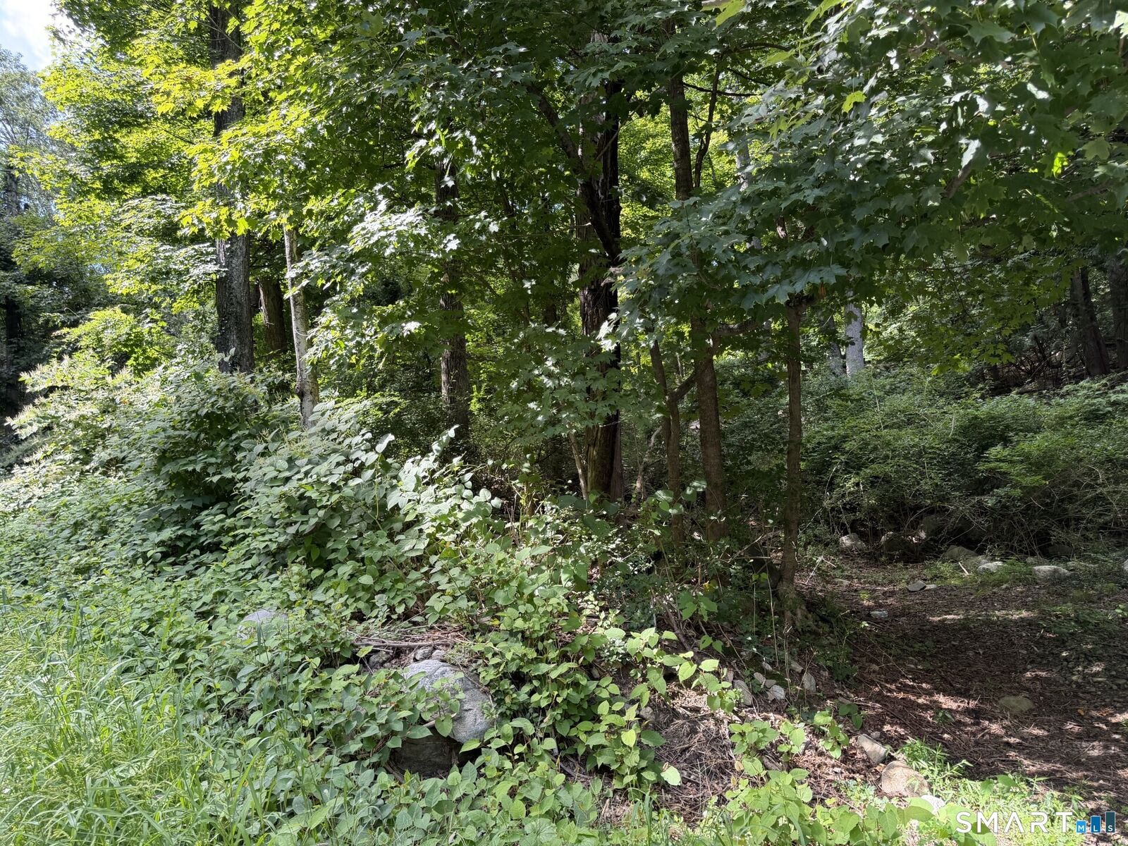 Property Photo: 431 Haviland Road CT 06903
