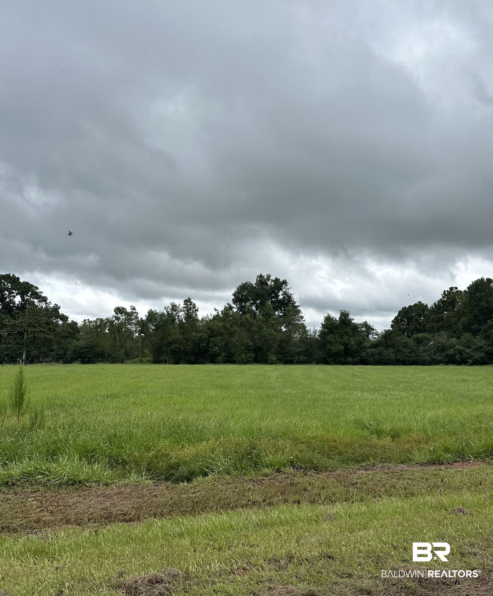 Property Photo:  0 Oak Lane Oak Lane  AL 36578 
