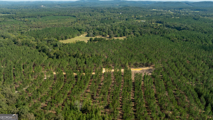 Property Photo:  0 SW Livingston Rd  GA 30161 
