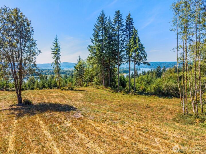 Property Photo: 0 Old Tree Farm Drive C WA 98632