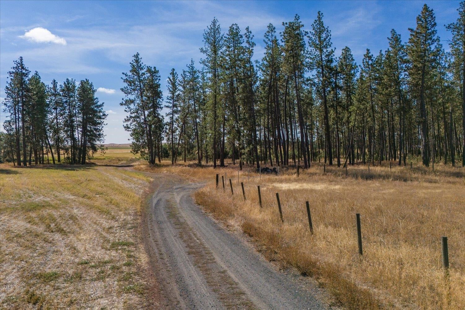 Property Photo:  102D E Cameron Rd  WA 99031 