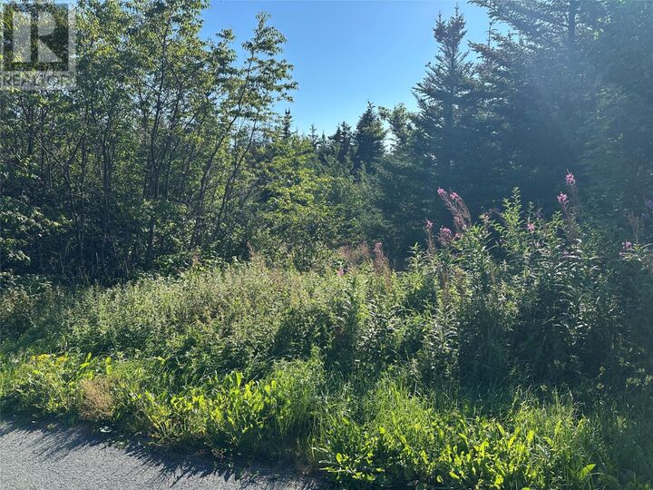 Property Photo:  12-14 Old Track Road  NL A0B 2B0 