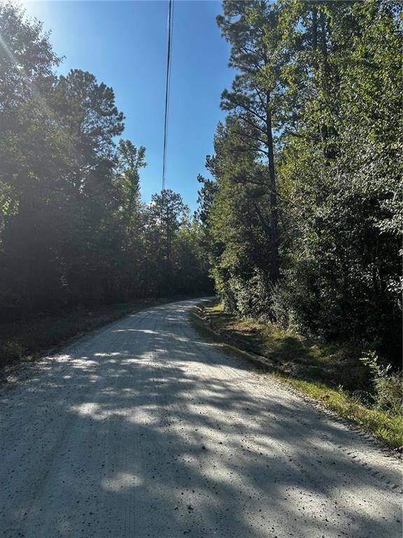 Property Photo:  12345 Hamilton Road  GA 30268 