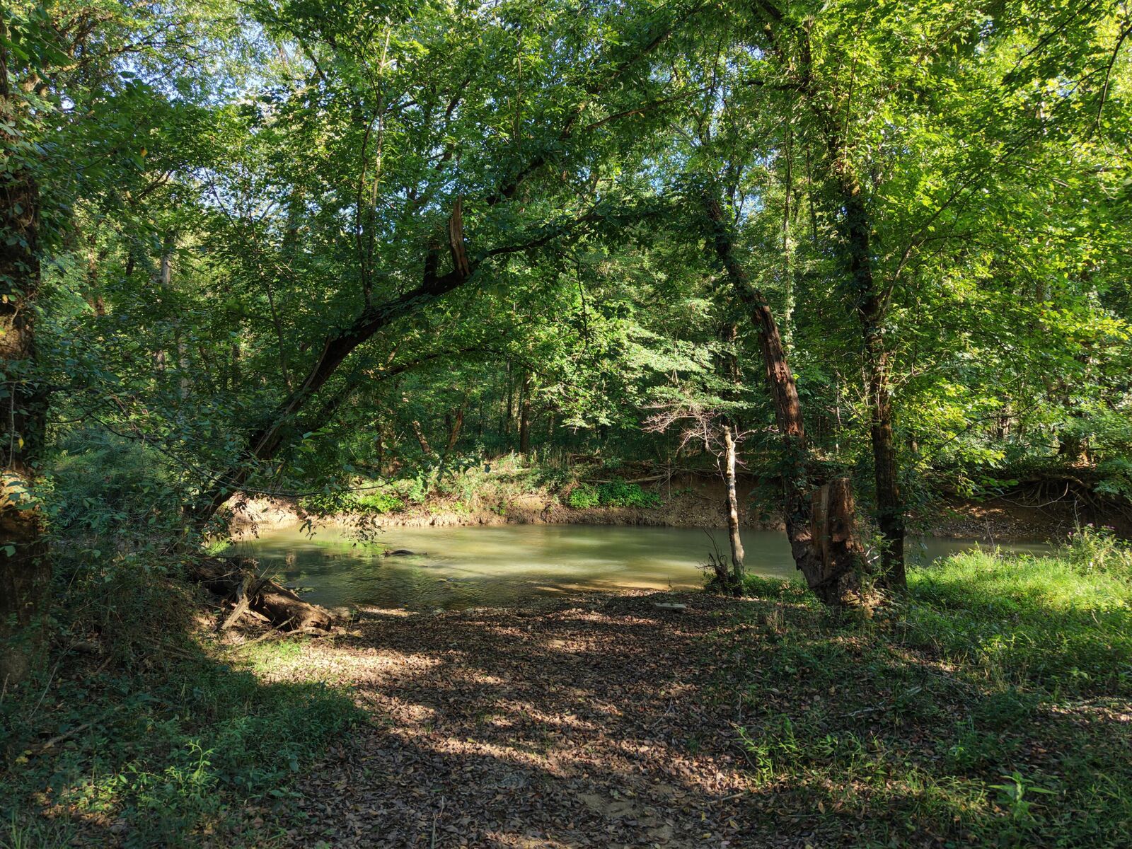 Property Photo:  28 County Road  TN 37309 