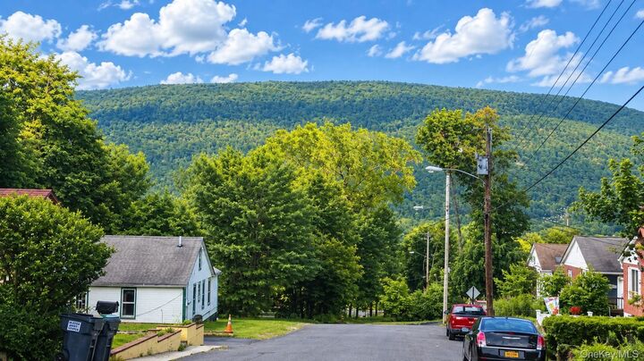 Property Photo:  11 Phyllis Drive  NY 12428 