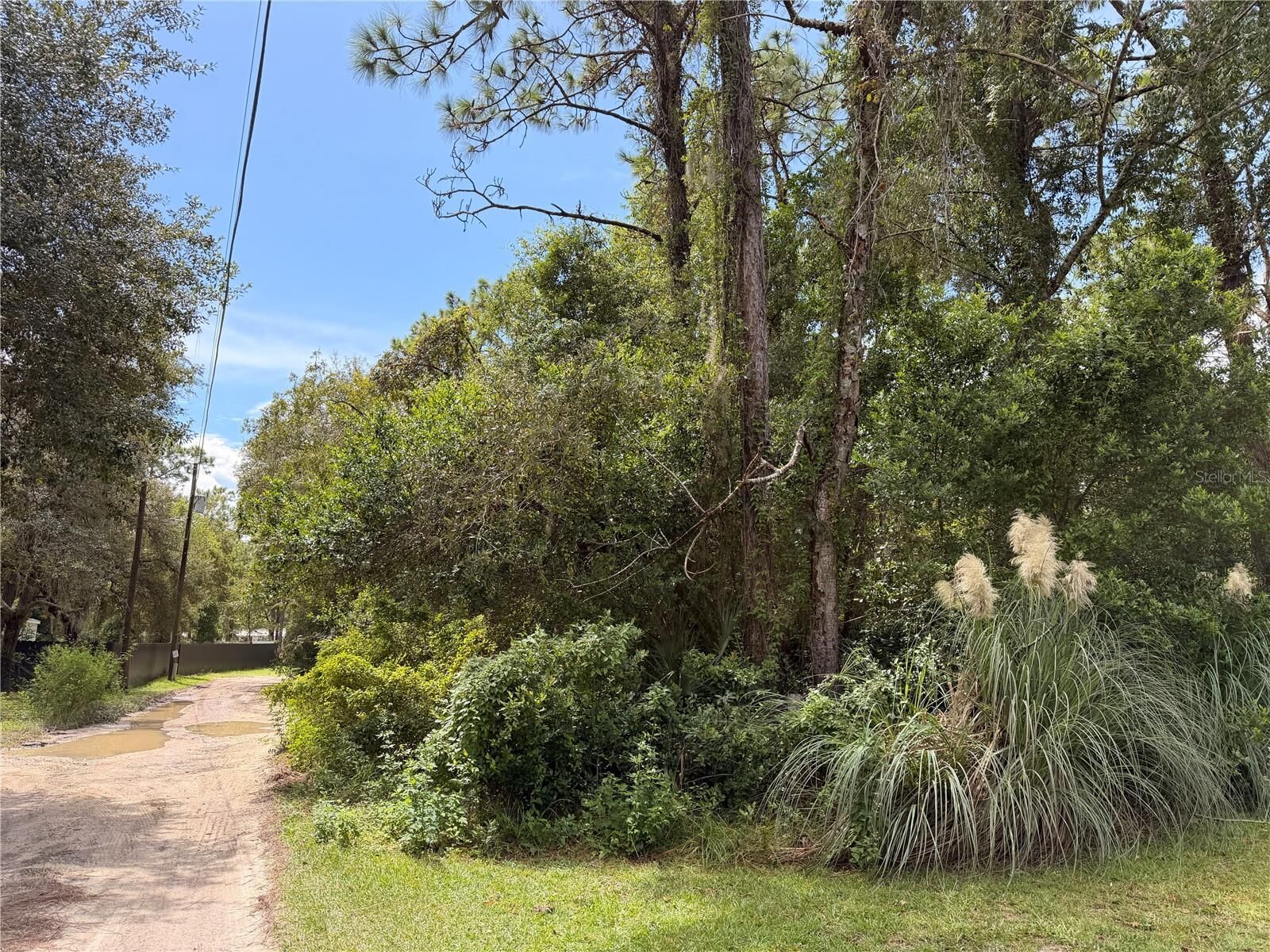 Property Photo:  5710 S Leopard Point  FL 34446 