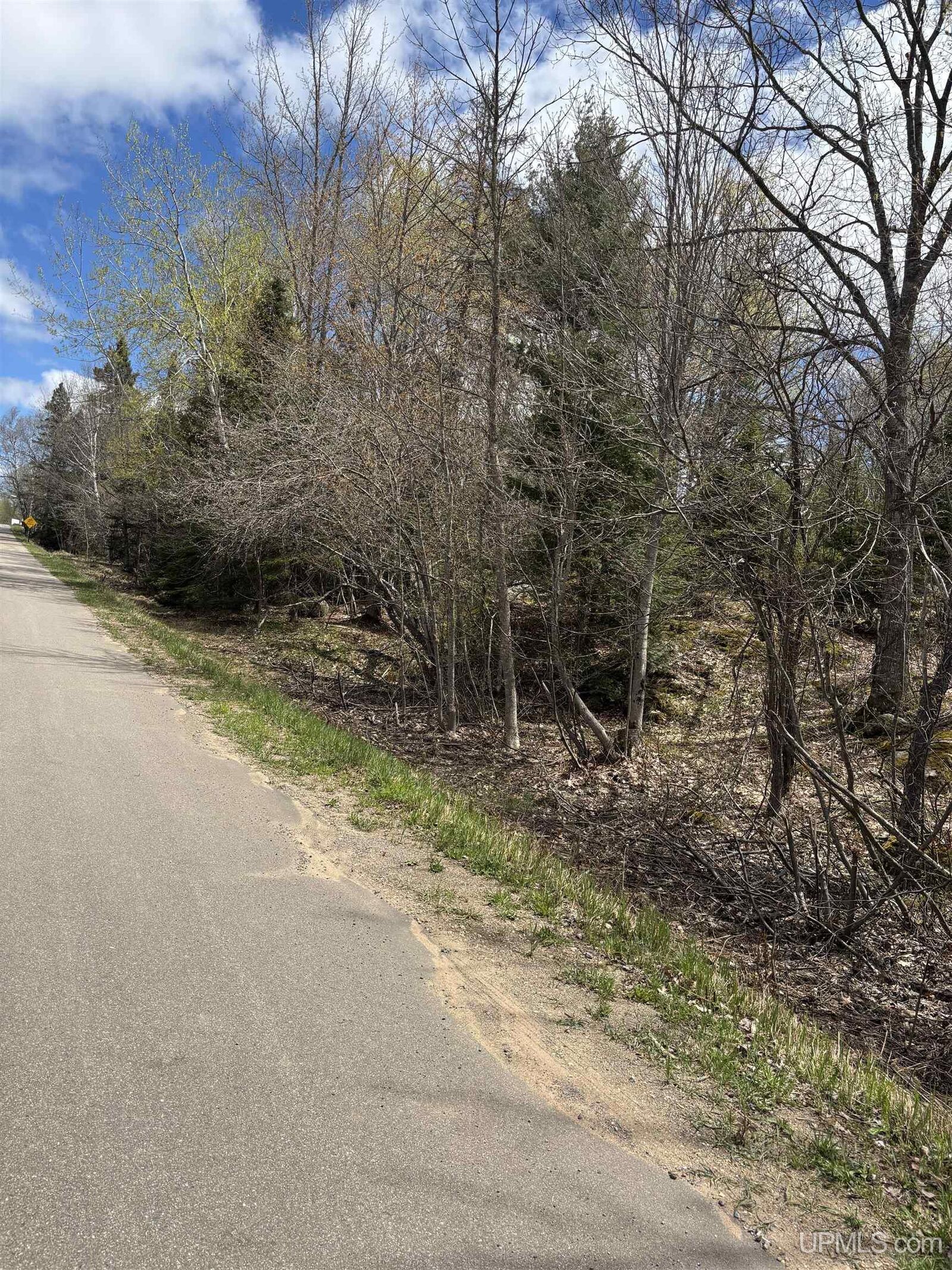 Property Photo: Tbd Al County Road MI 49814